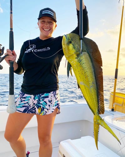 Reef Frenzy In Islamorada