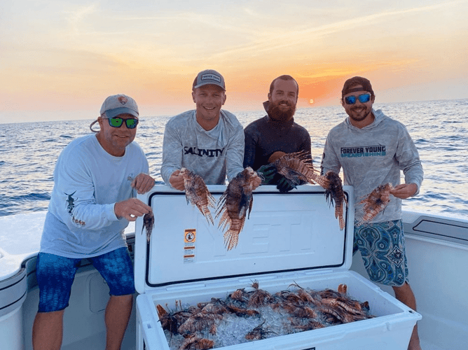 Spearfishing For Lionfish In Islamorada