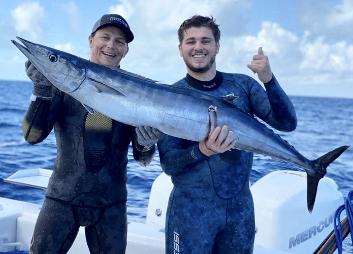 Blue Water Freedive Spearfishing in Islamorada