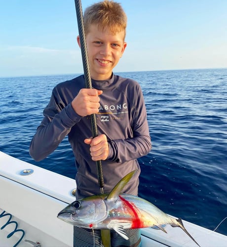 Reef Frenzy In Islamorada
