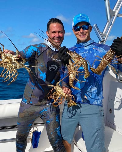 Lobster Hunting - Scuba or Freedive