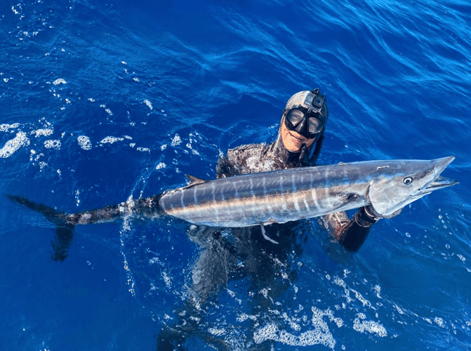 Blue Water Spearfishing - 32' Proline
