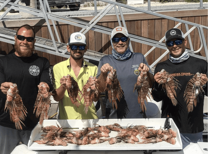 Spearfishing For Lionfish In Islamorada