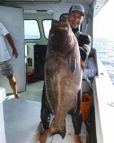 Reef and Wreck Freedive Spearfishing in Islamorada