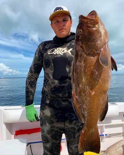 Deep Dive Bounty: Reef & Wreck In Islamorada