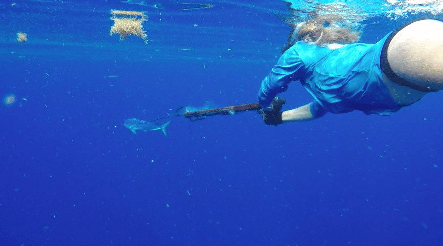 Blue Water Freedive Spearfishing in Islamorada