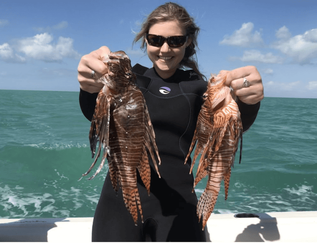 Spearfishing For Lionfish In Islamorada