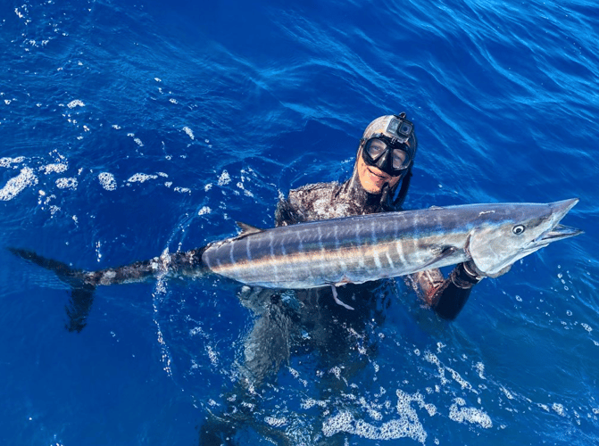Blue Water Freedive Spearfishing in Islamorada