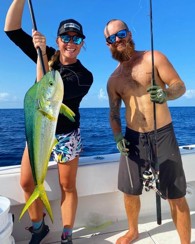 Reef Frenzy In Islamorada