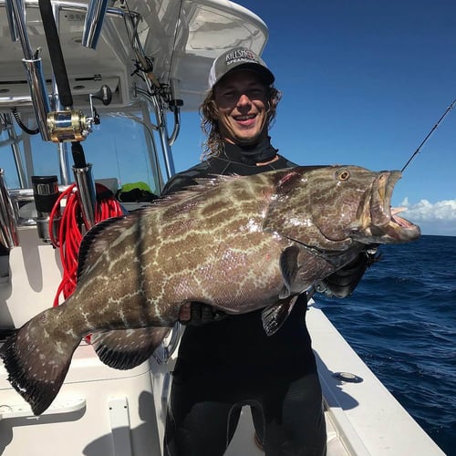 Reef and Wreck Freedive Spearfishing in Islamorada