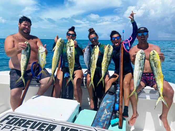 Reef Frenzy In Islamorada