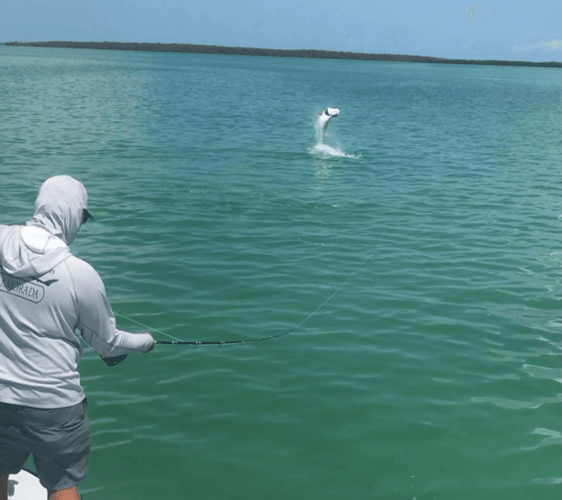 Florida Keys Backcountry Fishing - 17' Maverick