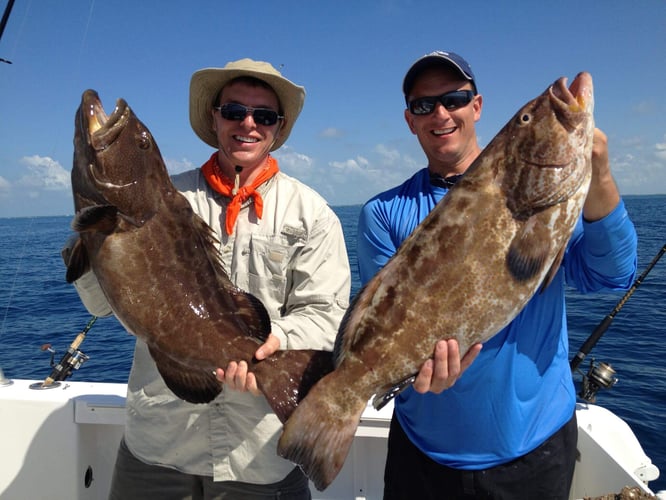 Ocean Thrills With Captain Don In Islamorada