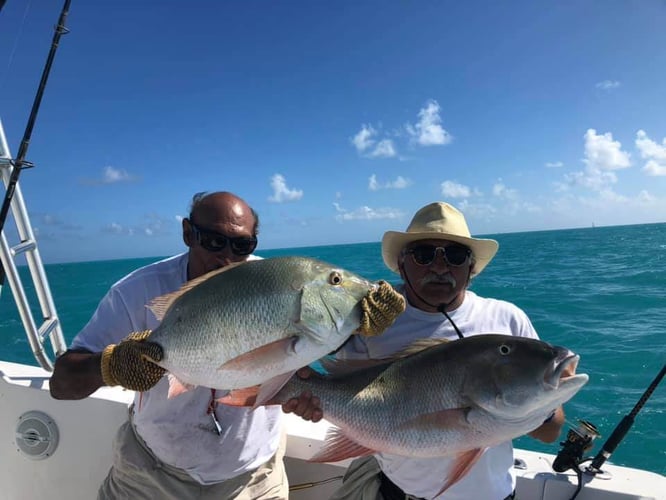 Ocean Thrills With Captain Don In Islamorada