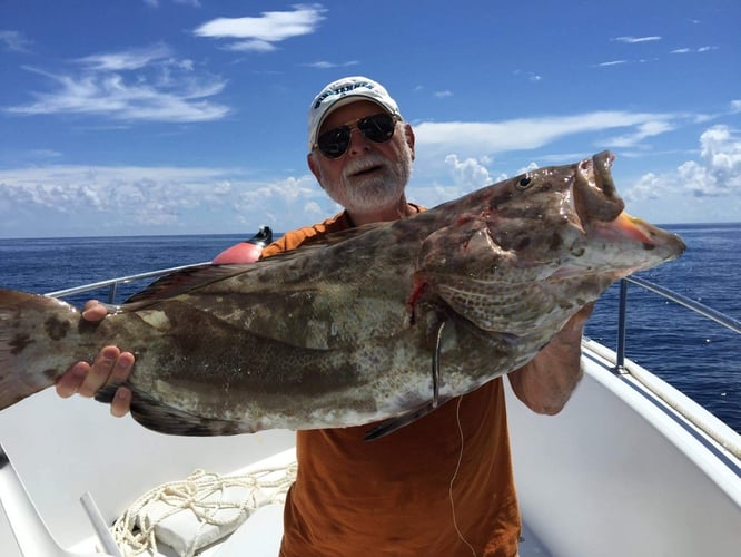 Full Day or Half Day Trip in Islamorada