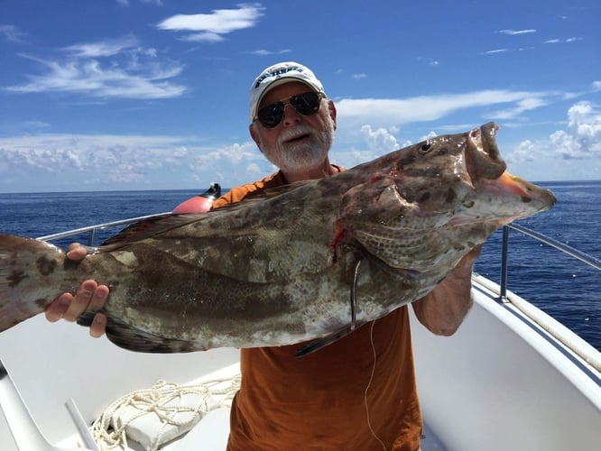 Ocean Thrills With Captain Don In Islamorada