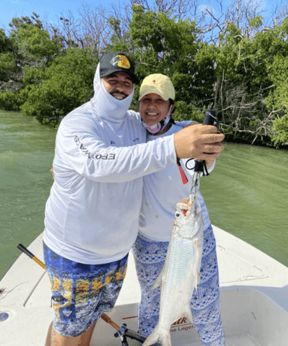 Key Largo Silver Kings In Key Largo