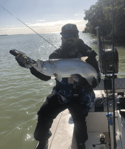 Key Largo Silver Kings In Key Largo