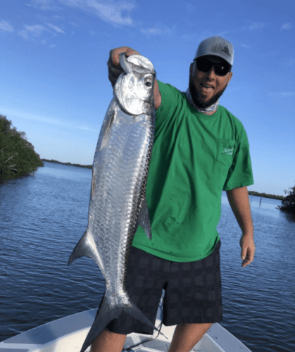 Key Largo Silver Kings In Key Largo