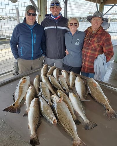 Gator Trout Trip In Matagorda