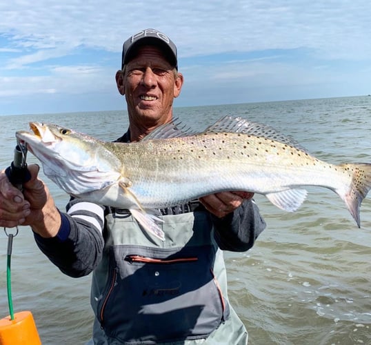 Gator Trout Trip In Matagorda