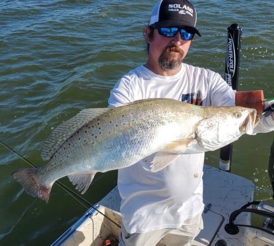 Gator Trout Trip In Matagorda