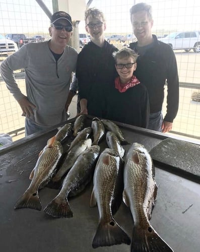 Gator Trout Trip In Matagorda