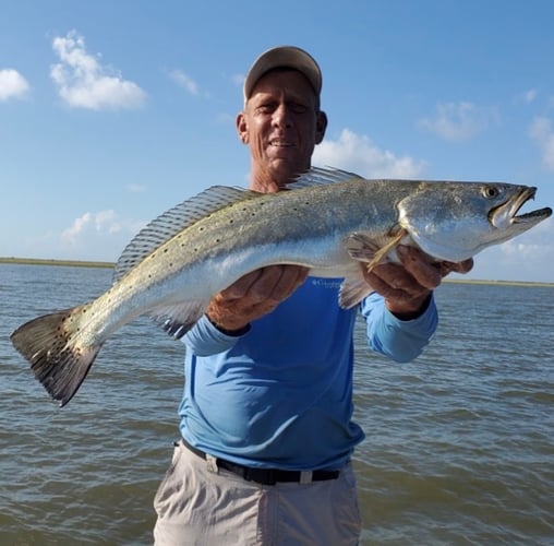 Gator Trout Trip In Matagorda