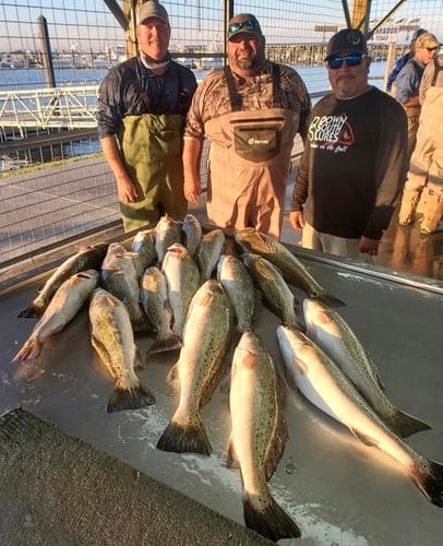 Gator Trout Trip In Matagorda