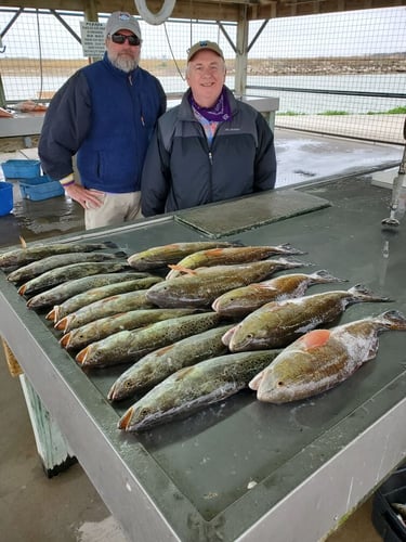 Gator Trout Trip In Matagorda