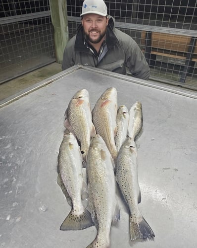 Gator Trout Trip In Matagorda