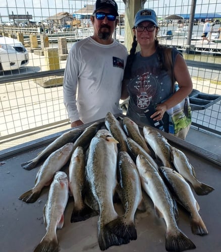 Gator Trout Trip In Matagorda