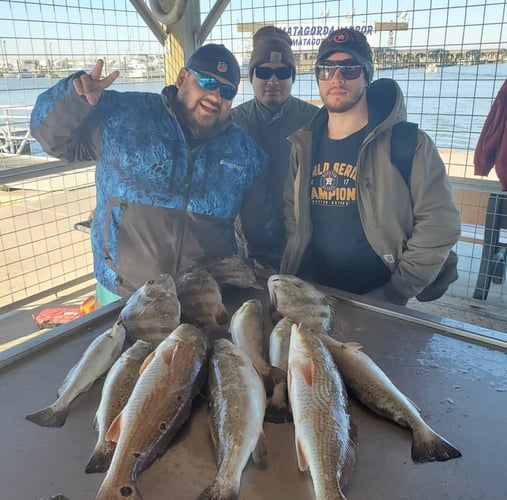 Gator Trout Trip In Matagorda