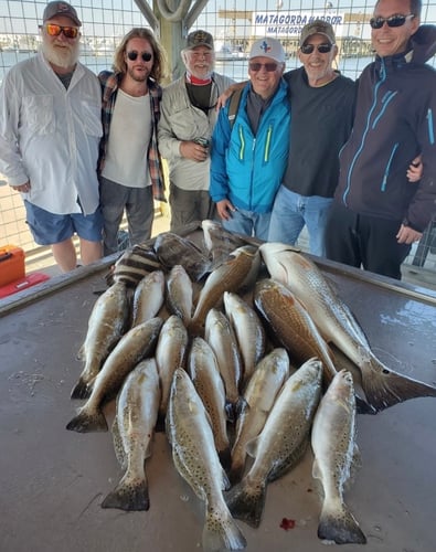 Gator Trout Trip In Matagorda