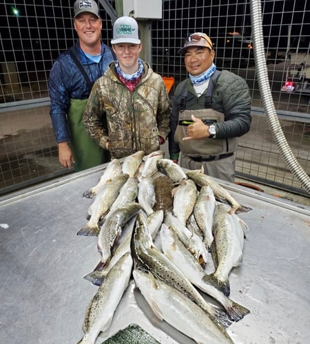 Gator Trout Trip In Matagorda