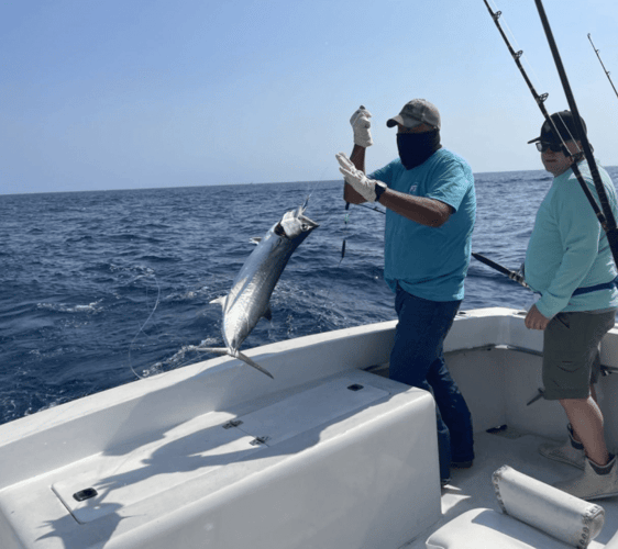3/4 Or Half Day Offshore In Miami