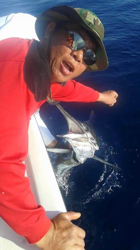 3/4 Or Half Day Offshore In Miami