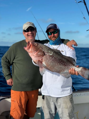 Key Largo Reefs & Wrecks In Key Largo