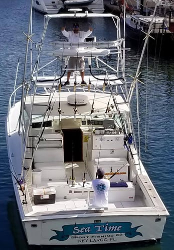 Open Water Offshore Trip in Key Largo