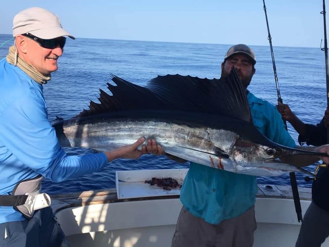 Open Water Offshore Trip in Key Largo