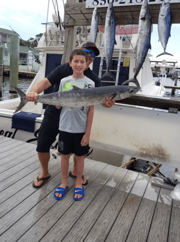 Summer Destin Gulf Trip - 36' Tiara in Destin