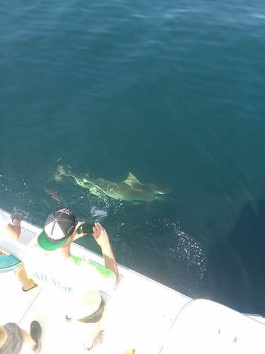 Summer Shark Fishing - 36' Tiarra