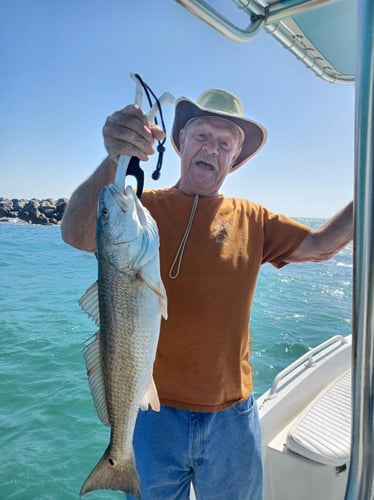 Summer Bottom Fishing In Panama City Beach