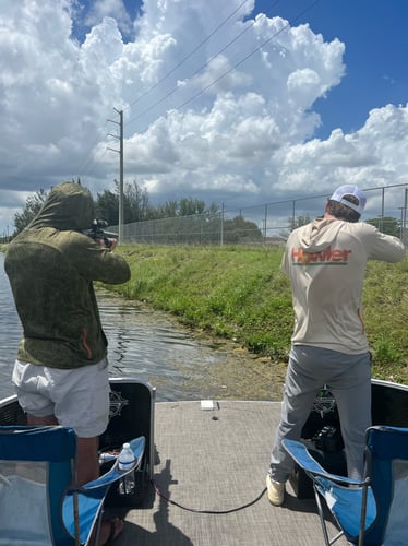 Iguana Hunt/Peacock Bass Combo With Retriever Dog In Plantation