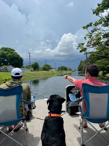 Iguana Hunt/Peacock Bass Combo With Retriever Dog In Plantation