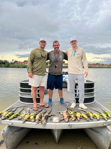 Iguana Hunt/Peacock Bass Combo With Retriever Dog In Plantation