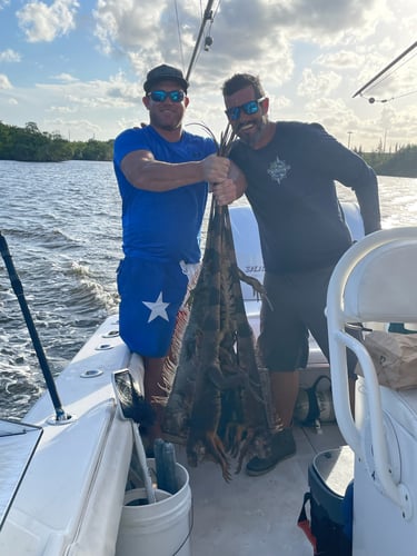 Iguana Hunt/Peacock Bass Combo With Retriever Dog In Plantation