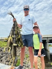 Iguana And Goose Hunt With Retrieval Dog In Plantation