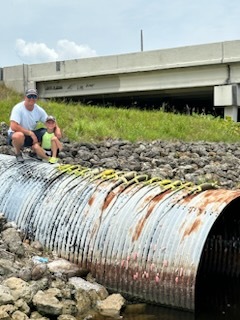 Iguana And Goose Hunt With Retrieval Dog In Plantation