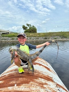 Iguana And Goose Hunt With Retrieval Dog In Plantation